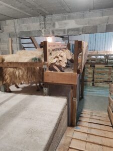 la bergerie "Ô pré des brebis"